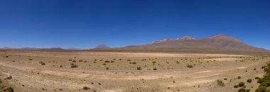 Peruvian highland, lake and vicuñas