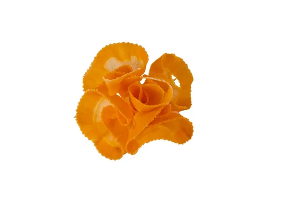 Λουλούδι σχήμα καρότο — Φωτογραφία Αρχείου