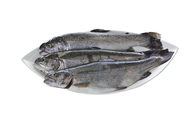 Peixe em um prato — Fotografia de Stock