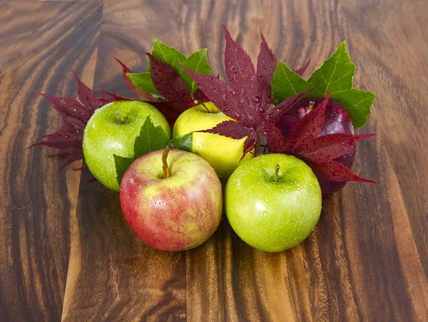 Fall äpplen — Stockfoto