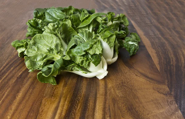 新鮮な緑菜 — ストック写真