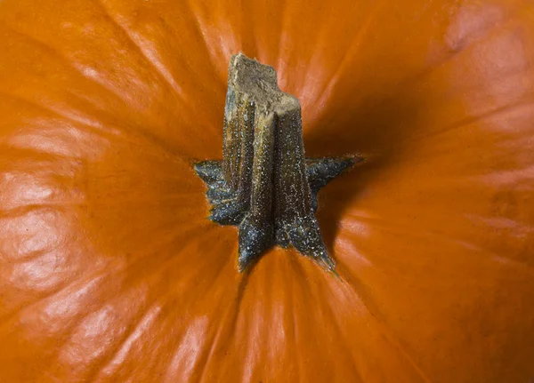 Pumpkin Top — Stock Photo, Image