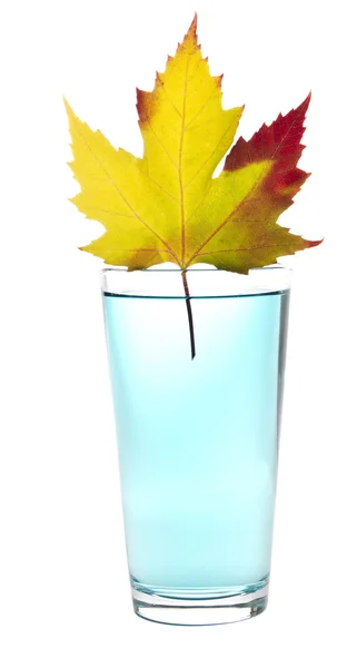 Glas reines Wasser — Stockfoto