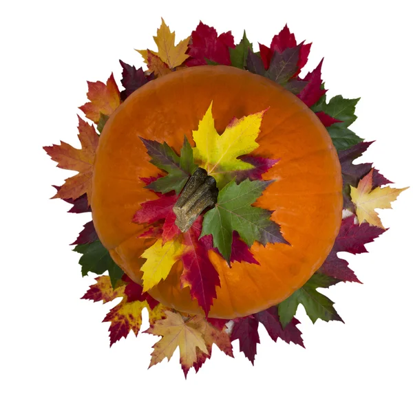 Fall Season — Stock Photo, Image