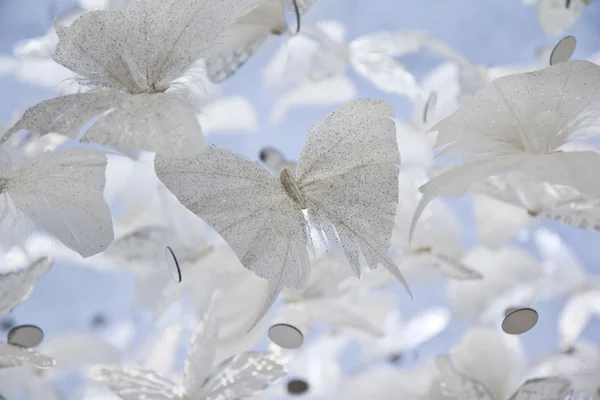 나비 천국 — 스톡 사진
