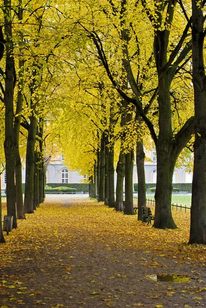 stock image Autumn