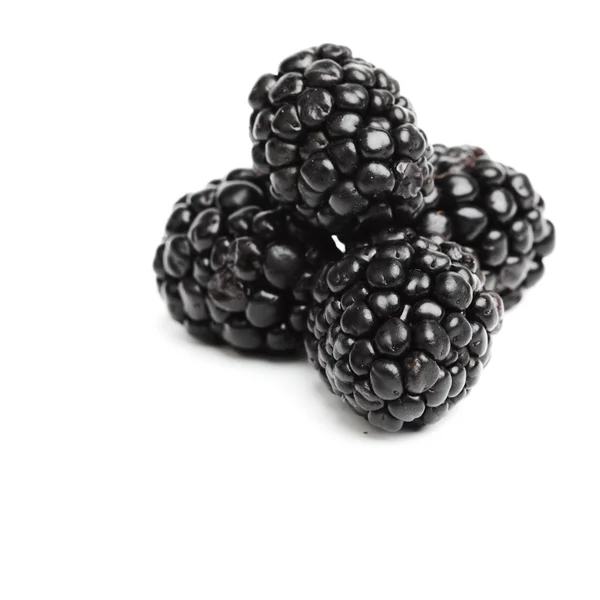 黑莓桩 — 图库照片