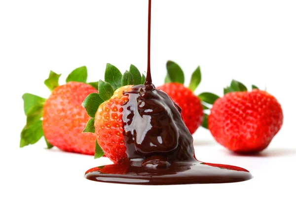 Fragola in cioccolato — Foto Stock