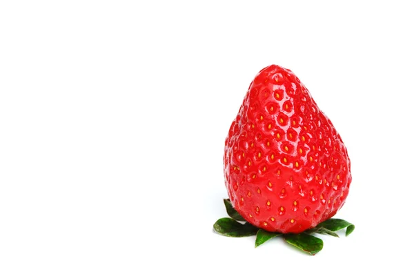 Erdbeeren isoliert — Stockfoto