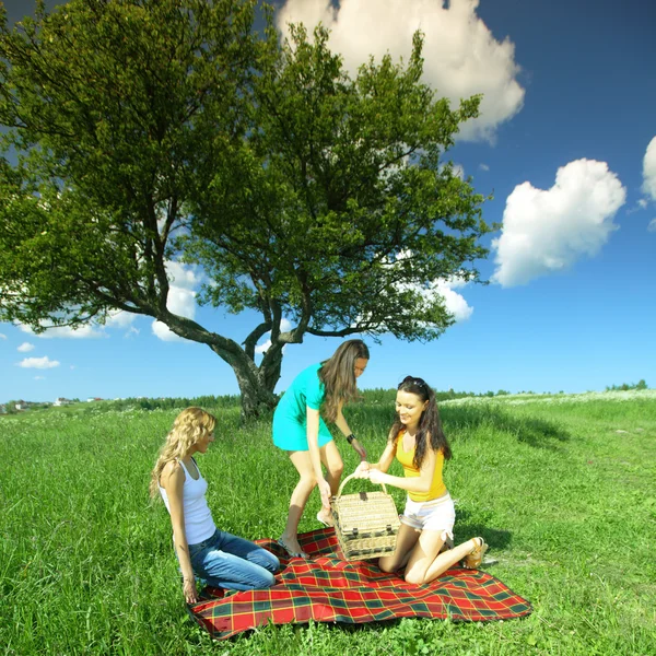 Girlfriends on picnic — Stock Photo, Image