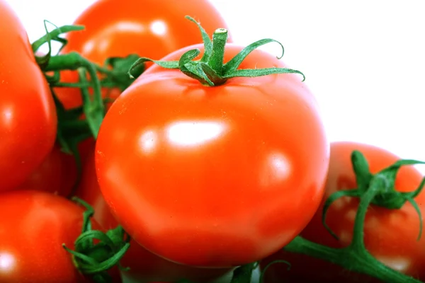 Tomate isolado — Fotografia de Stock