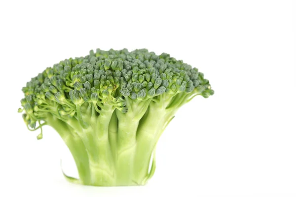 Broccoli på hvid - Stock-foto