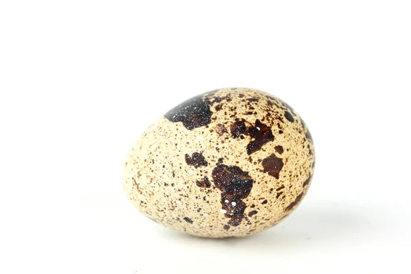 Jajka przepiórcze — Zdjęcie stockowe
