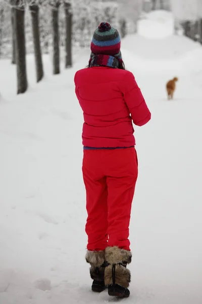 Caminhada de inverno — Fotografia de Stock