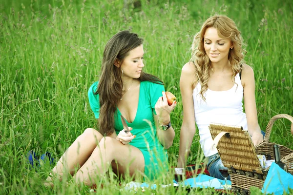 Novias en el picnic —  Fotos de Stock