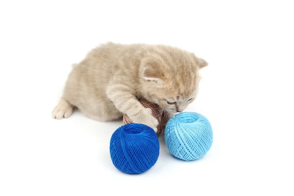 Мяч из кошки и синей шерсти — стоковое фото