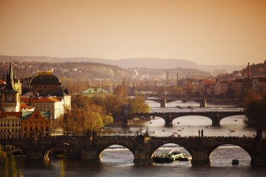 Charles bridge clipart