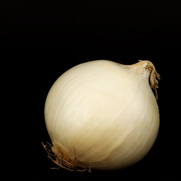 Cebolla — Foto de Stock