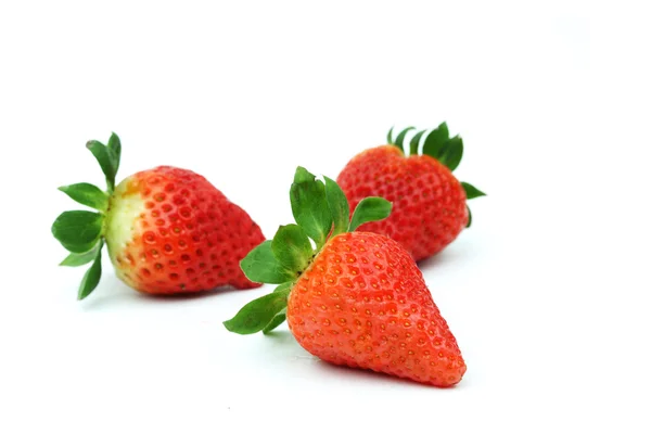草莓桩隔离 — 图库照片