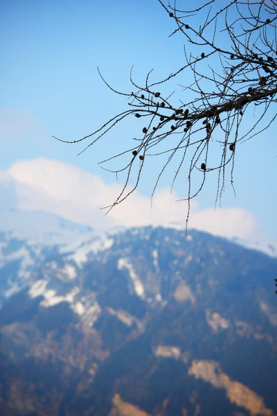 Alpes de primavera —  Fotos de Stock