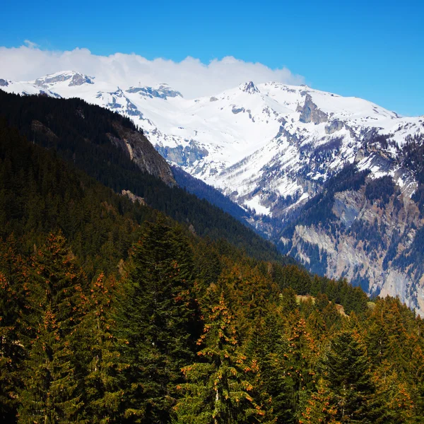 Alpler bahar — Stok fotoğraf