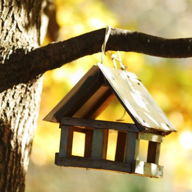 Birdhouse in the autumn forest clipart