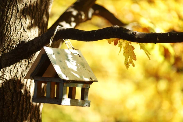 Birdhouse w lesie jesienią — Zdjęcie stockowe