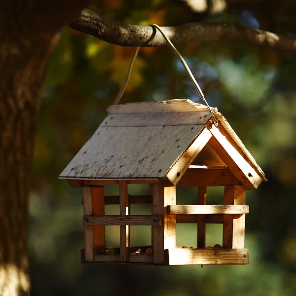 Birdhouse in het najaar forest — Stockfoto