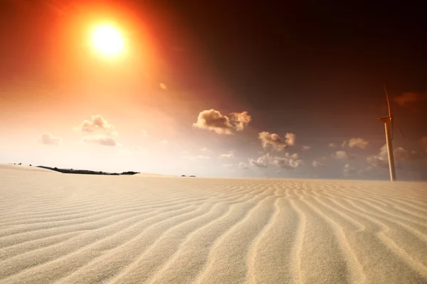 Солнце пустыни — стоковое фото
