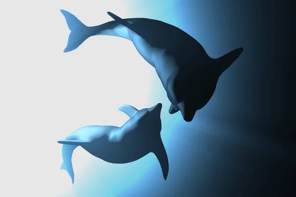 Дельфіни в море — стокове фото