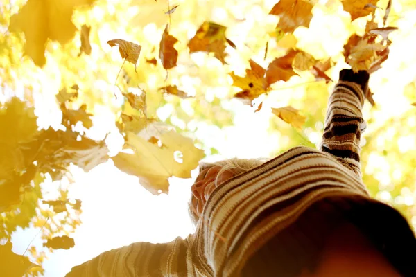 女人滴树叶在秋天公园 — 图库照片
