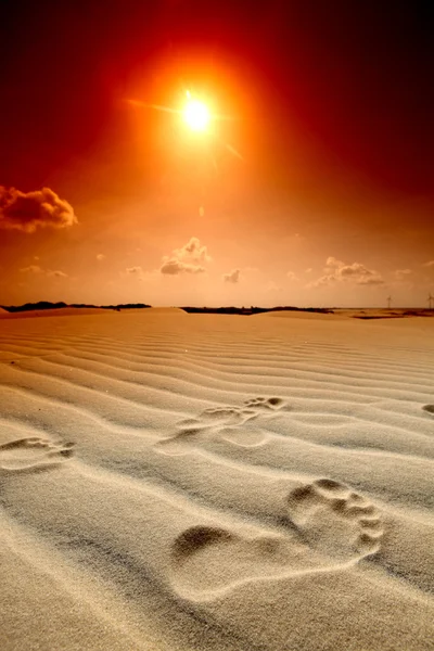 Sivatagi lábnyom — Stock Fotó