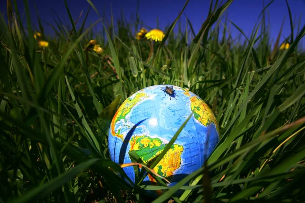 Глобус в траве — стоковое фото