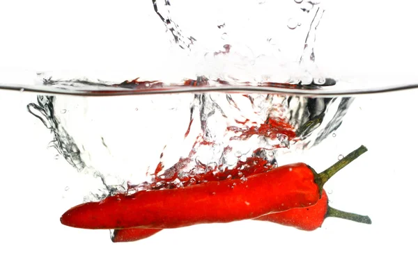 Chili poivre cuisinier — Photo