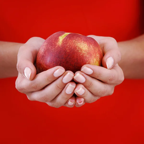 Персик у жіночих руках — стокове фото