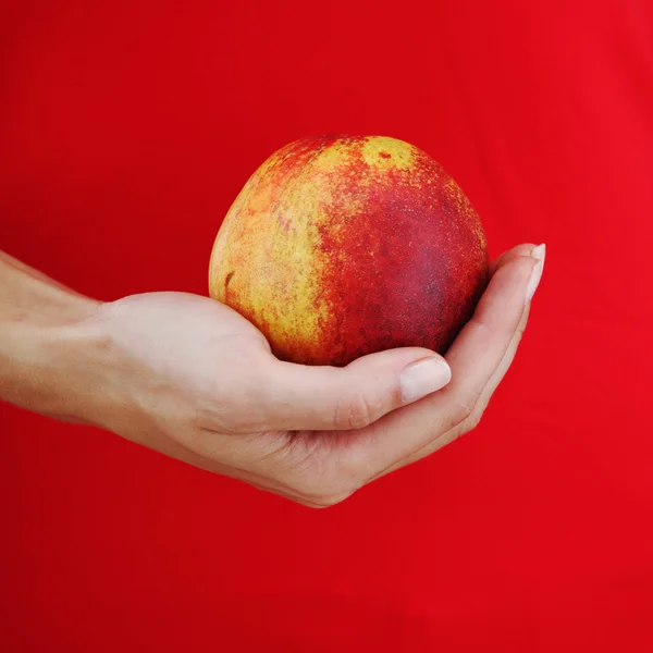 Peach in woman hands — Stock Photo © yellow2j 6934611
