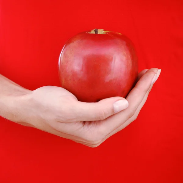 Red apple in hand — Stock Photo, Image