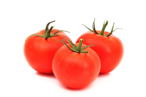 番茄桩 — 图库照片