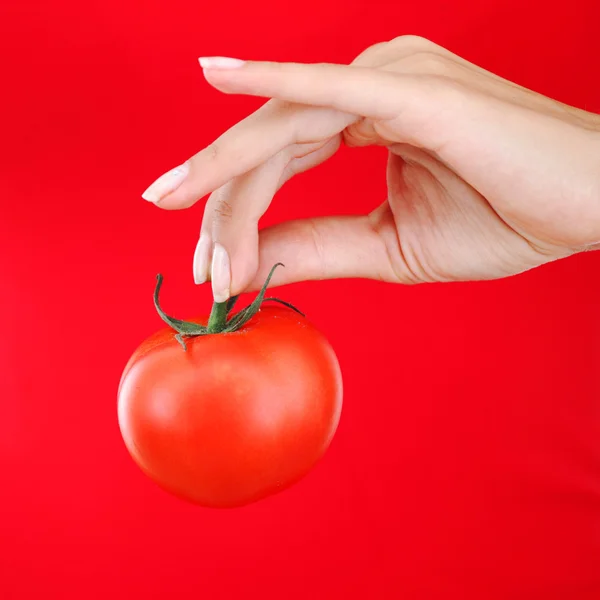 여자 손에 토마토 — 스톡 사진