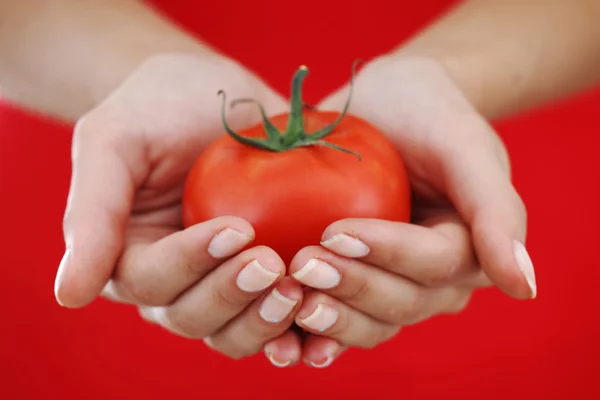 女性の手の中のトマト — ストック写真