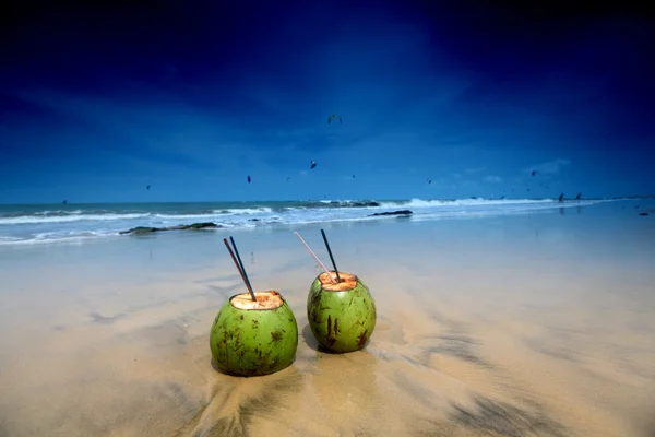 Kokosový koktejl — Stock fotografie
