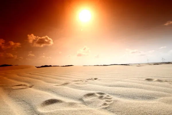 Pegada no deserto — Fotografia de Stock