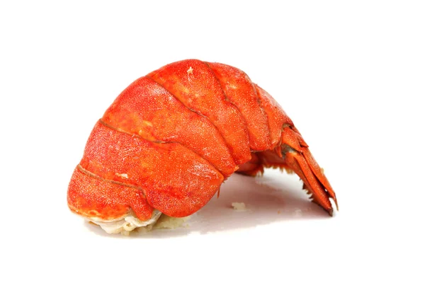 Lobster tail — Stock Photo, Image