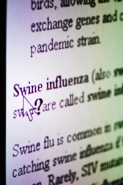 Gripe suína — Fotografia de Stock