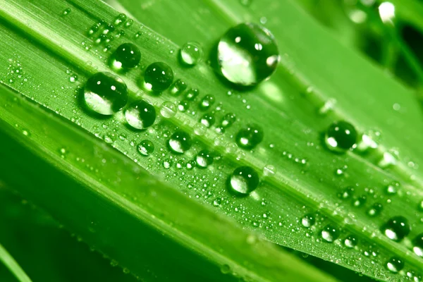 stock image Big water drop