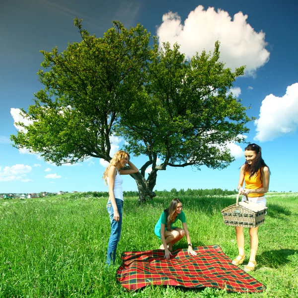 Girlfriends on picnic — Stock Photo, Image