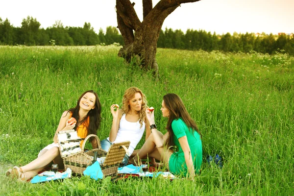 Novias en el picnic —  Fotos de Stock