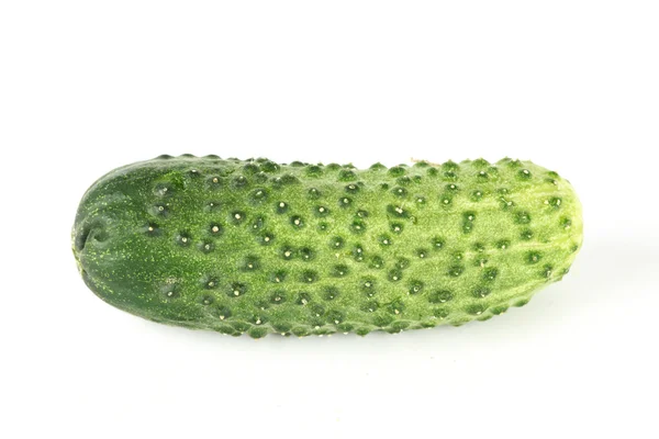 Bir salatalık — Stok fotoğraf
