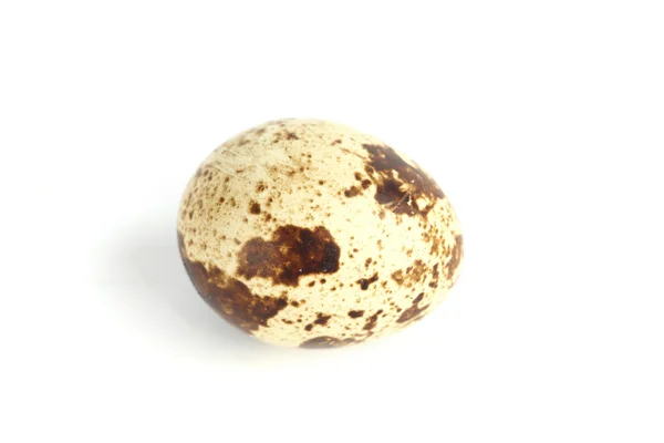 stock image Quail egg