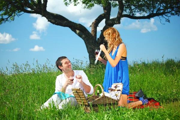 Gli amanti del picnic — Foto Stock